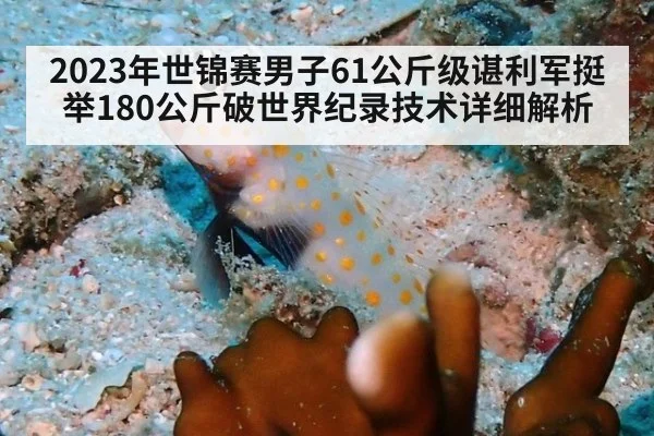 2023年世锦赛男子61公斤级谌利军挺举180公斤破世界纪录技术详细解析