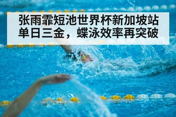张雨霏短池世界杯新加坡站单日三金,蝶泳效率再突破